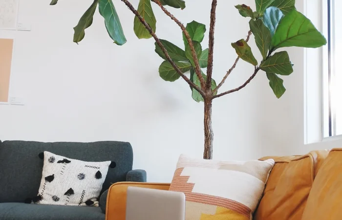 Campfires Storytelling